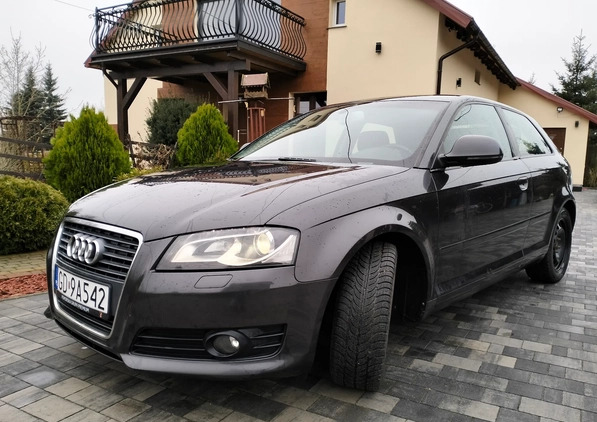 Audi A3 cena 16900 przebieg: 320000, rok produkcji 2008 z Karczew małe 466